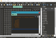十六进制编辑器010 Editor v16.0.4汉化绿色版